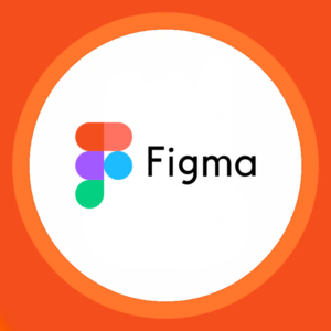 Figma Pro - 1 Yıllık
